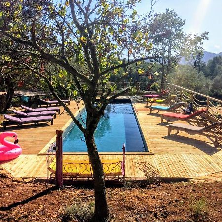 Arche De Noe Atypique, Boheme , Nature, Piscine Chauffee De Paques A Toussaint , Spa , Sauna , Loisirs ル・ボーセ エクステリア 写真